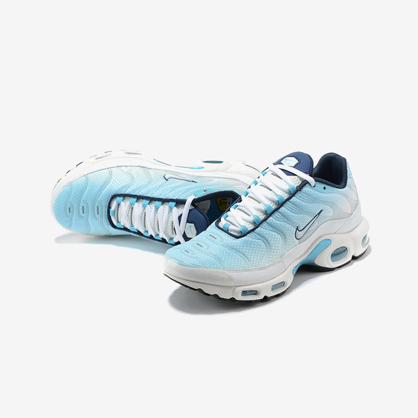 AIR MAX PLUS 'BLUE GRADIENT'