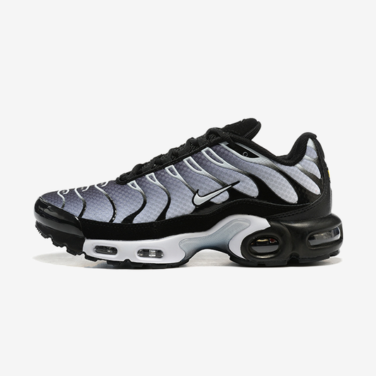 AIR MAX PLUS 'SILVER FADE'